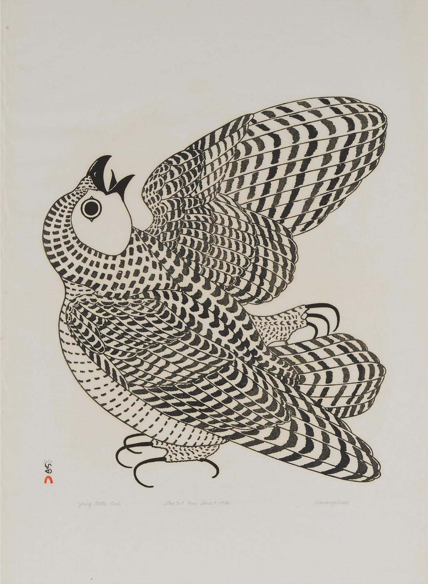 Kananginak Pootoogook (1935-2010) - Young Arctic Owl