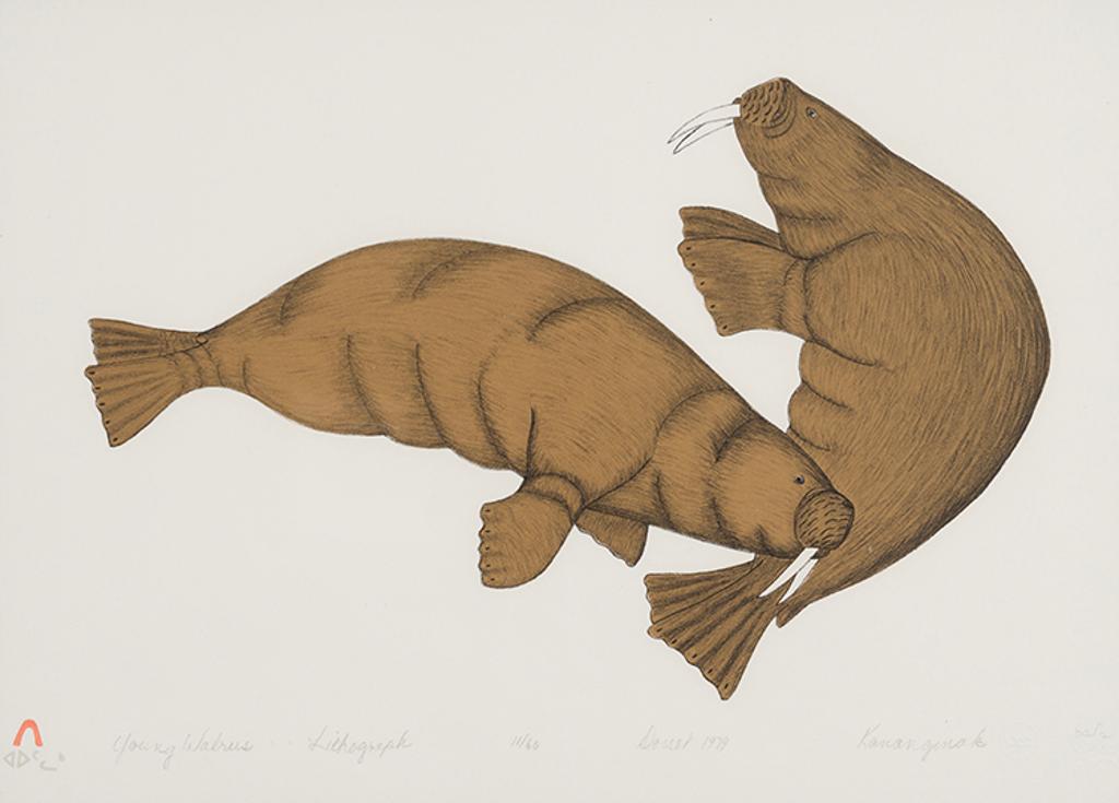 Kananginak Pootoogook (1935-2010) - Young Walrus