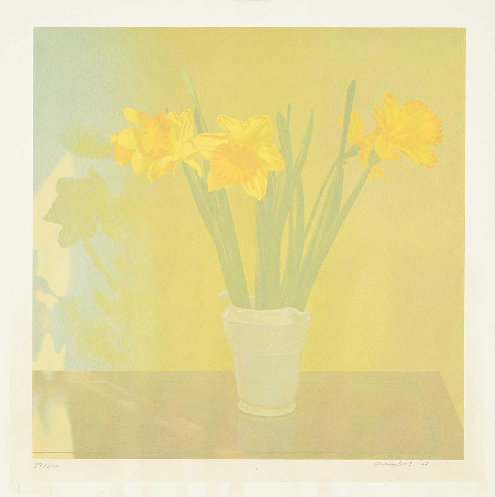 John Richard [Jack] Chambers - Untitled - Daffodils  #87/300