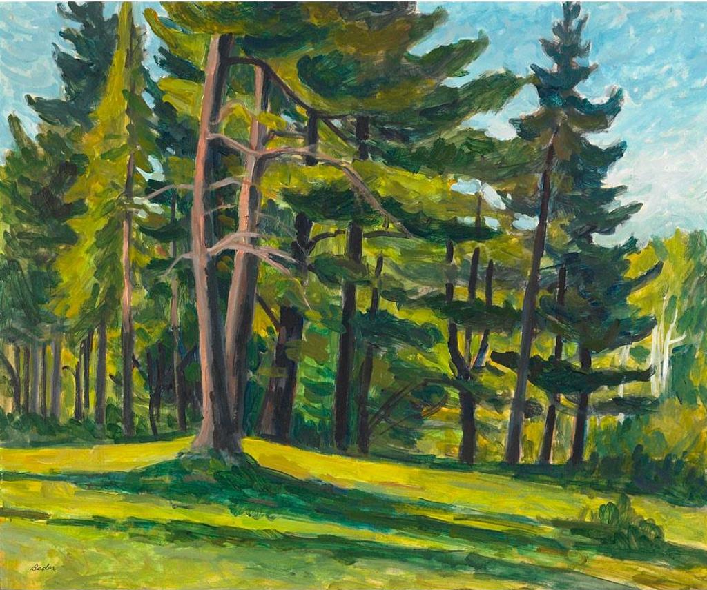 Jack Beder (1910-1987) - Pine Landscape, Pt. Alexander, Ont, July 1972