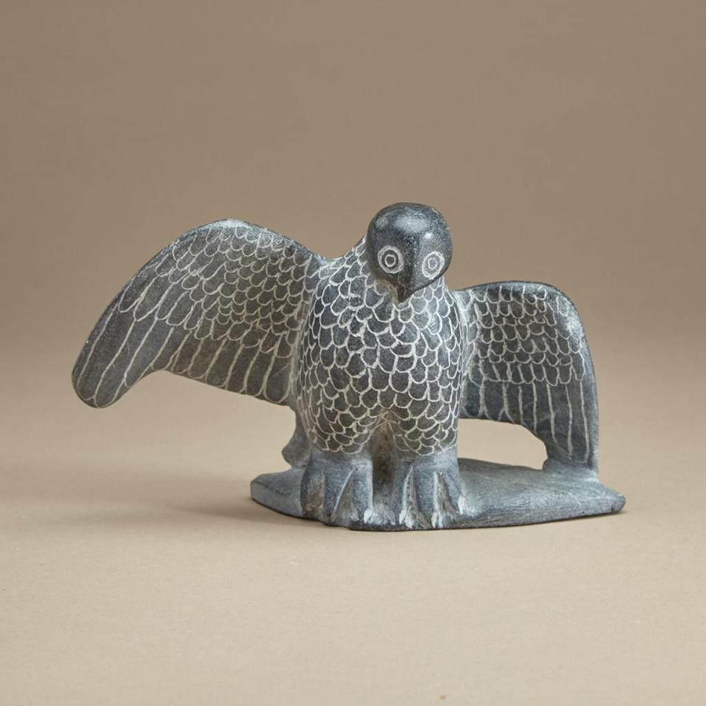 Davidialuk Alasua Amittu (1910-1976) - Alighting Owl