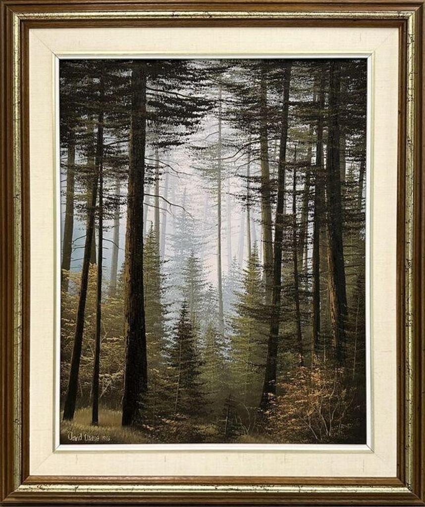 David Daase - Untitled, Forest Interior; 1983