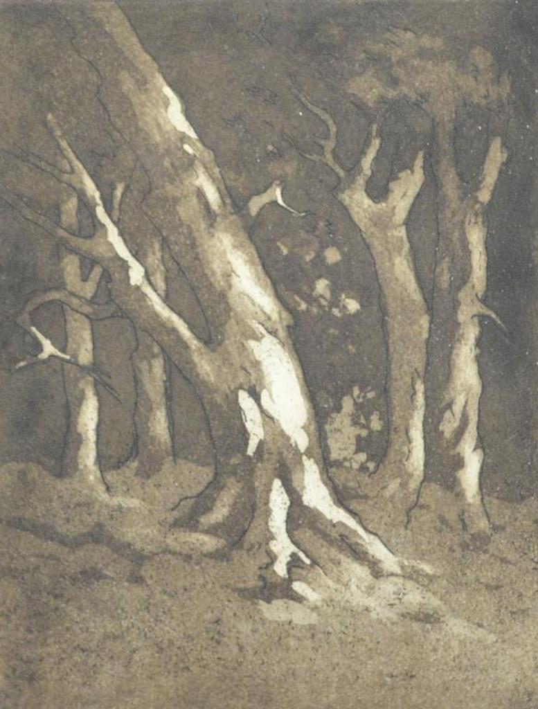 Carl Henry Von Ahrens (1863-1936) - Forest Interior