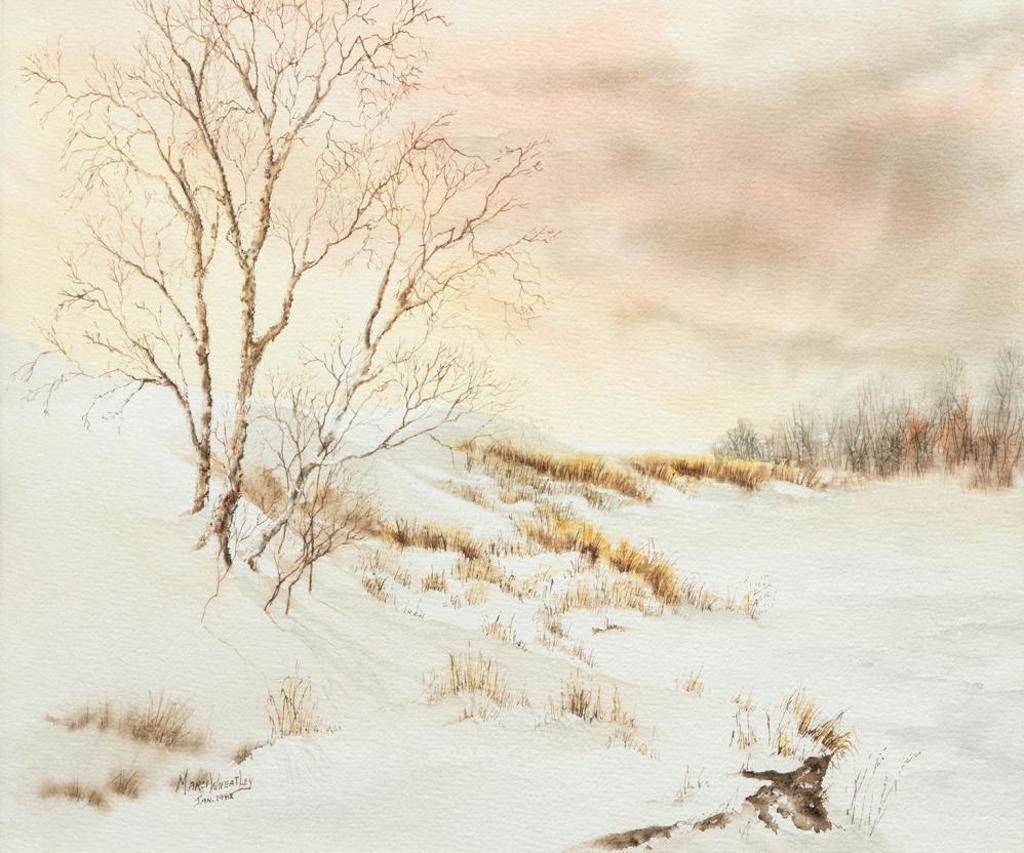 Marci Wheatley - Untitled - Winter Landscape