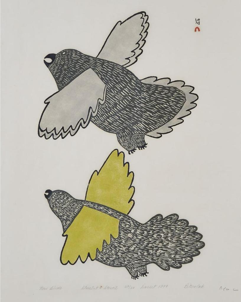 Lucy Qinnuayuak (1915-1982) - New Birds