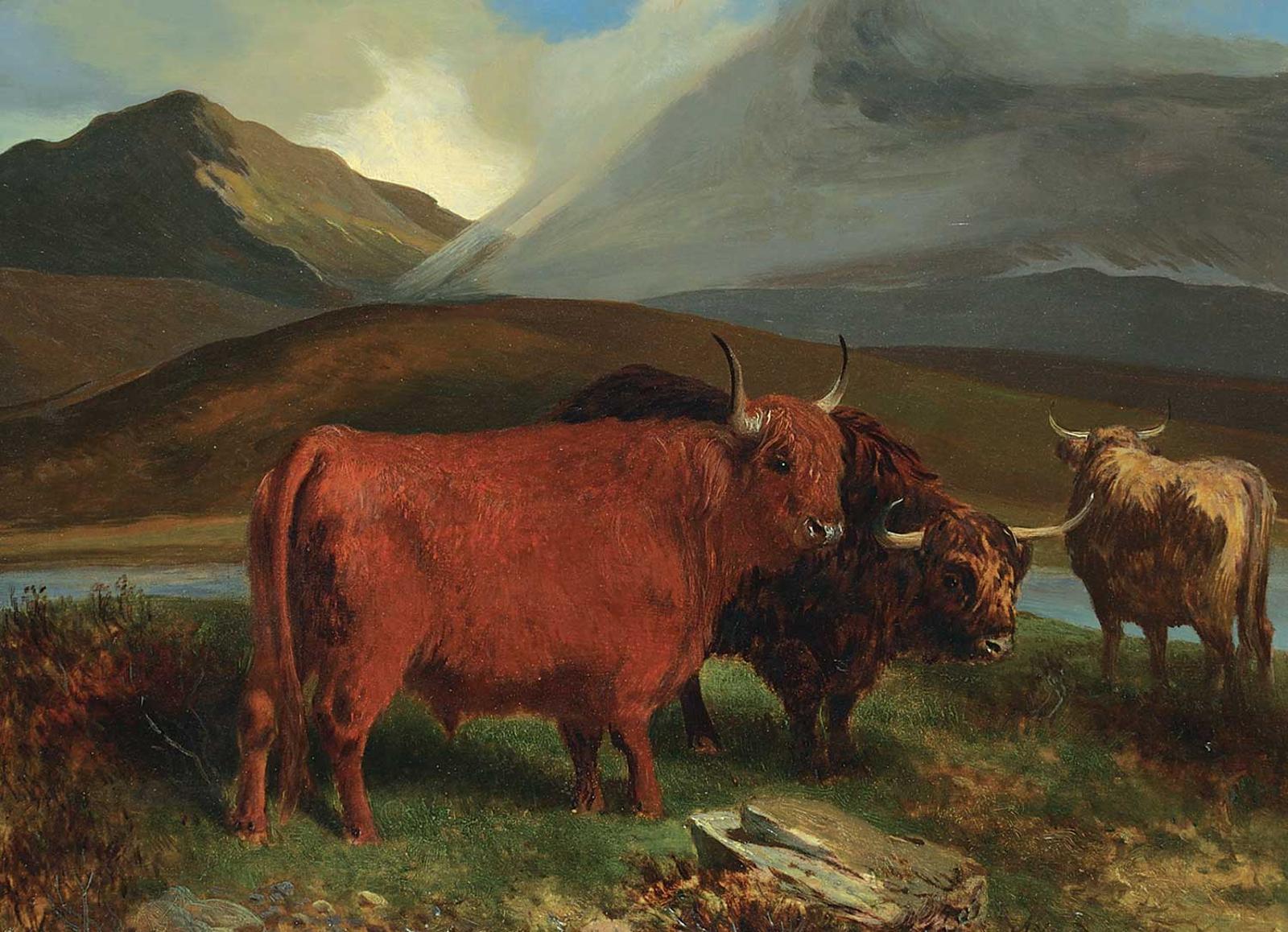 Aster Richard Chilton Corbould - Highland Cattle