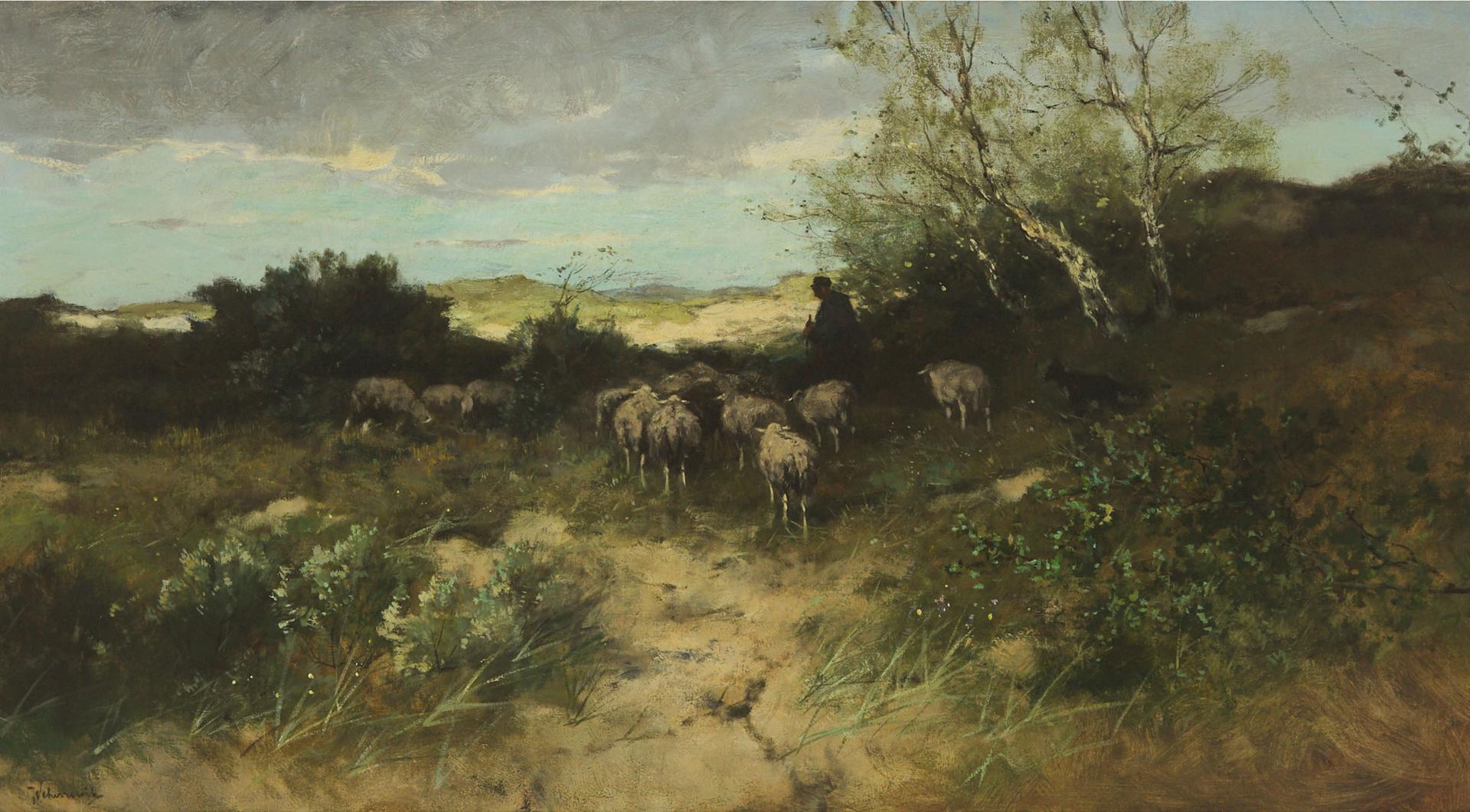 Johan Frederik Cornelis Scherrewitz (1868-1951) - Sheep On The Dunes