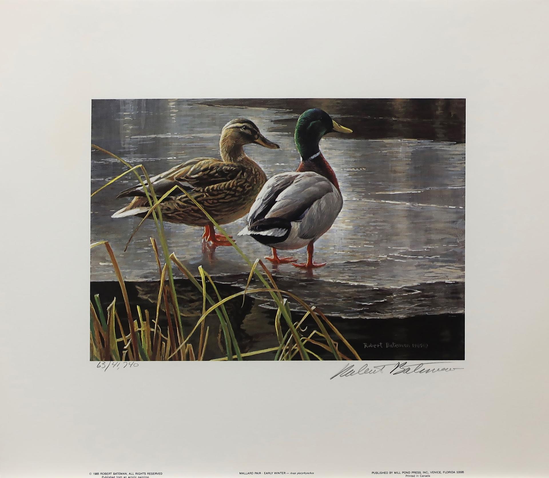 Robert Mclellan Bateman (1930-1922) - Mallard Pair - Early Winter