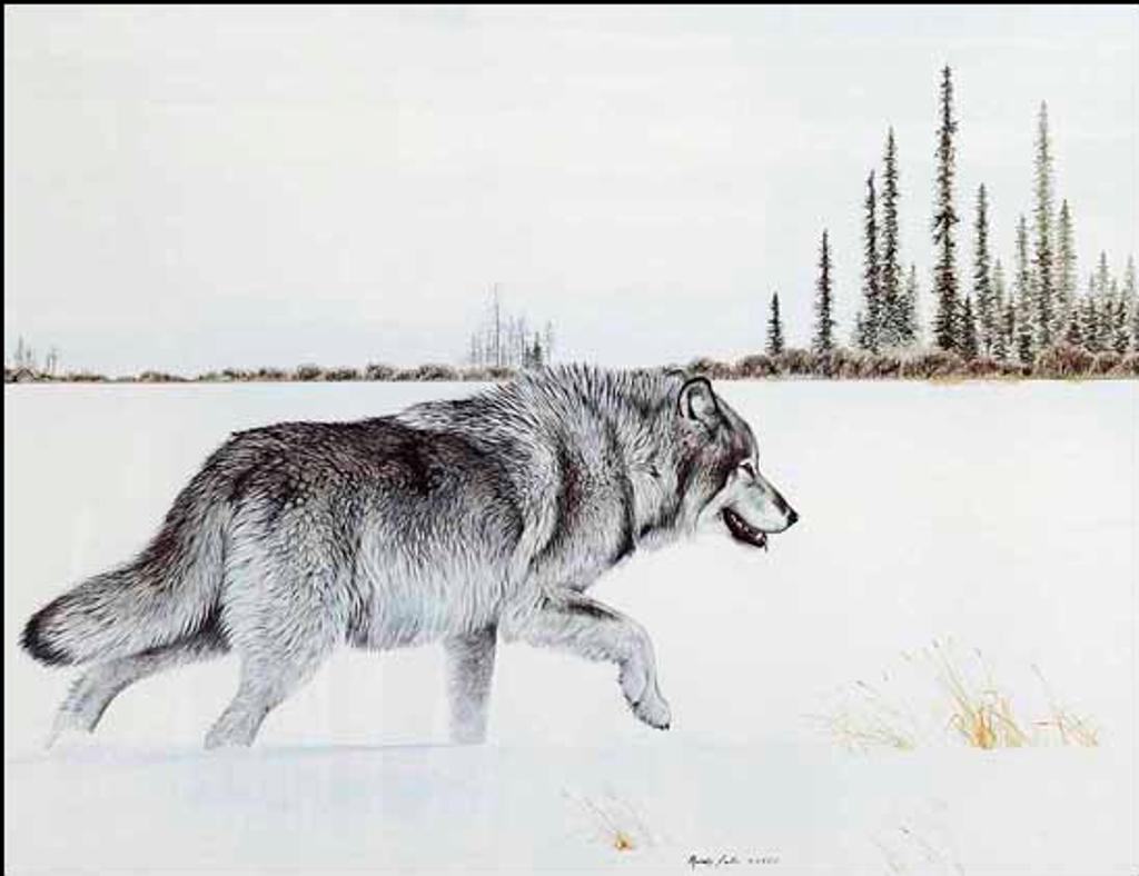 Randy Fehr (1948) - Lone Wolf (02143/2013-1234)
