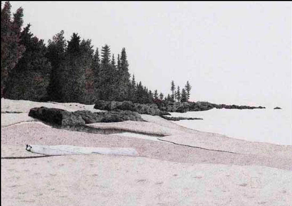 Brian Reynolds - Near Pancake Bay, Lake Superior (02752/2013-1430)