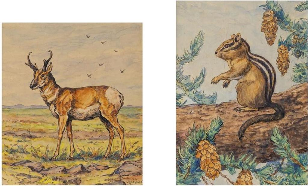 Barbara Woodward (1887-1976) - Pronghorn Antelope & Townsend Chipmunk