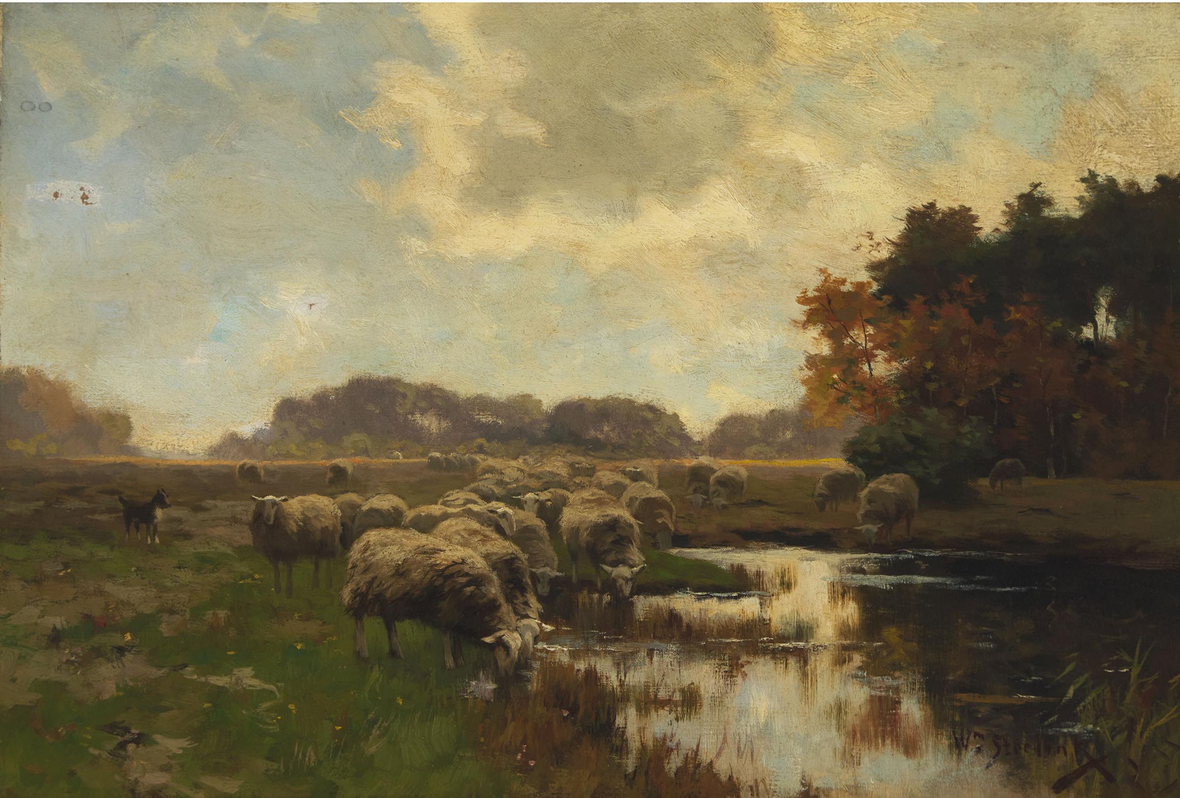 Willem Steelink Jr. - Sheep At The River