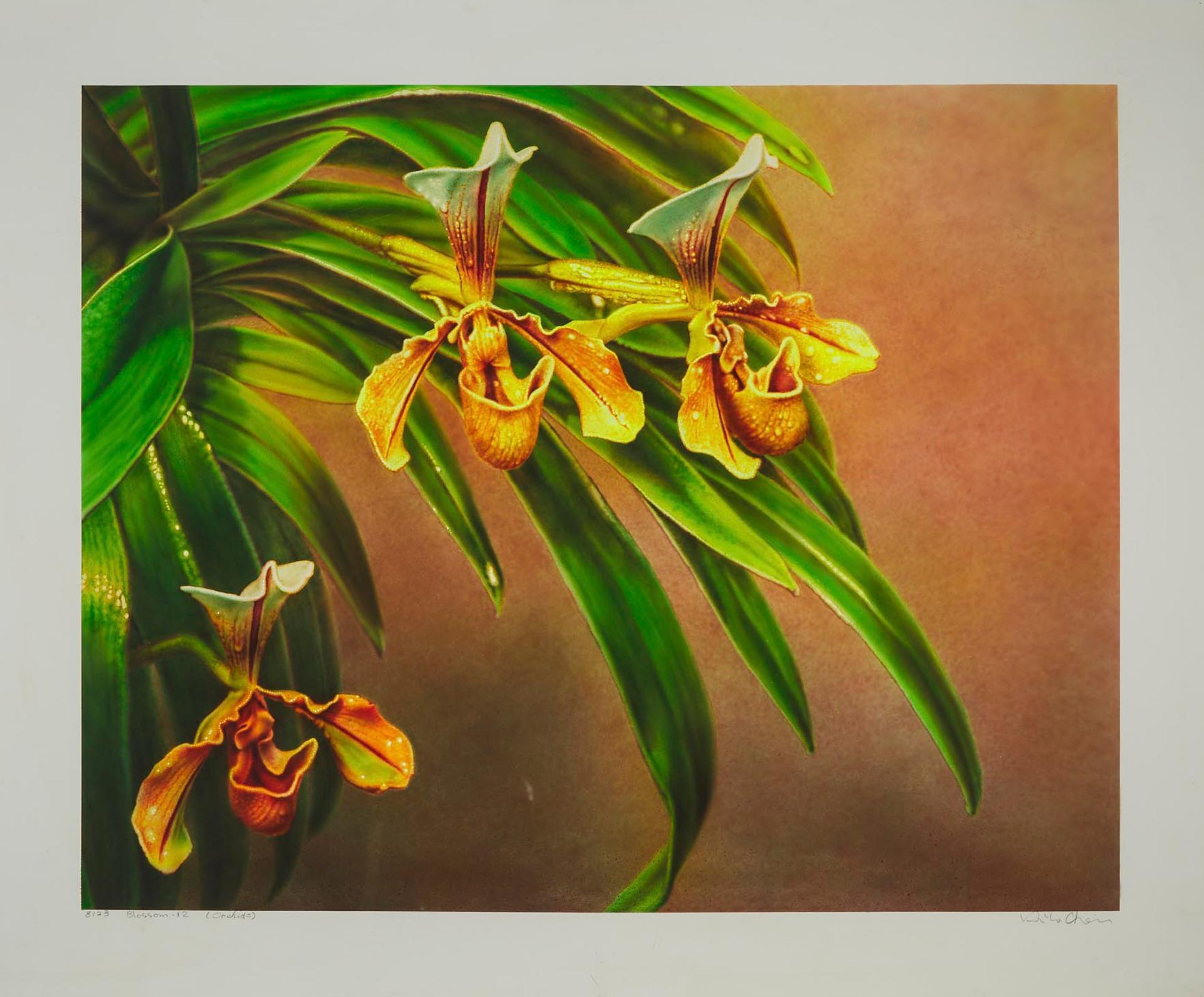 Hilo Chen - Blossom-12 (Orchids), 1981