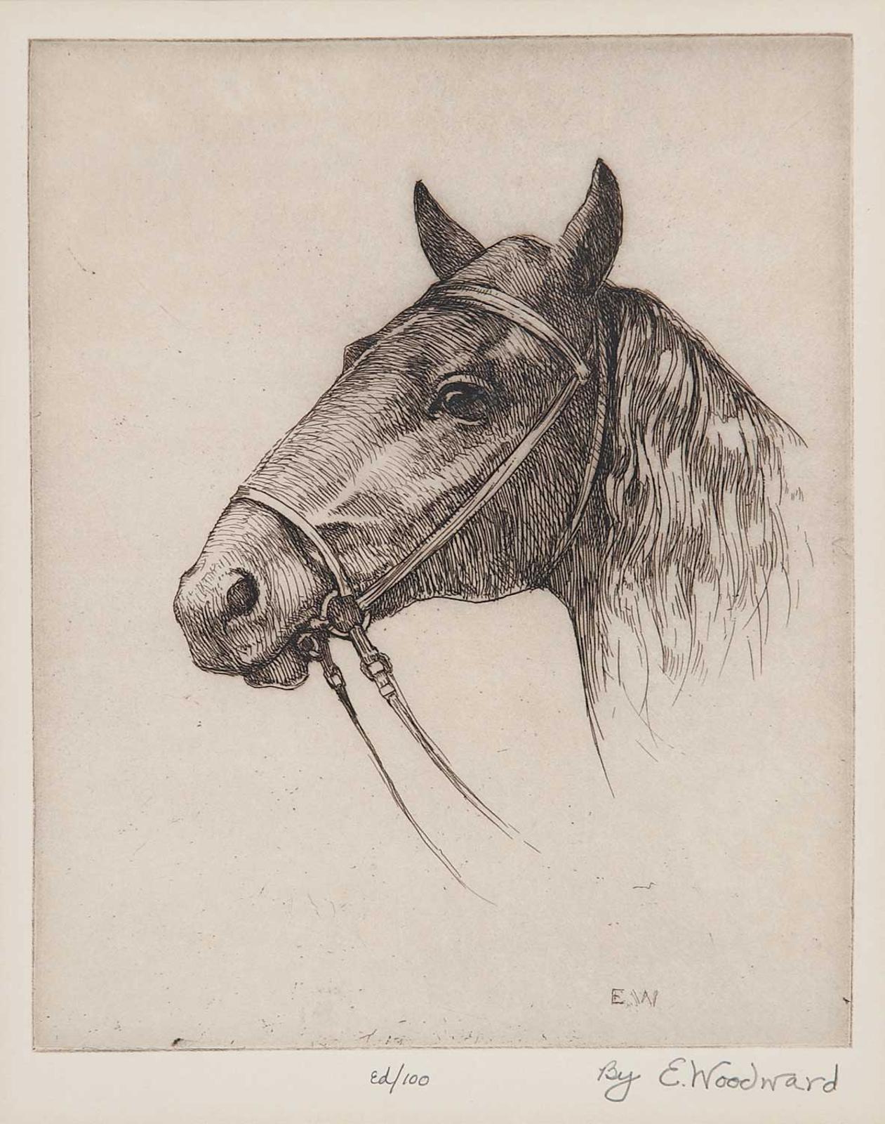 E. Woodward - Untitled - Portrait of a Horse  #Ed/100