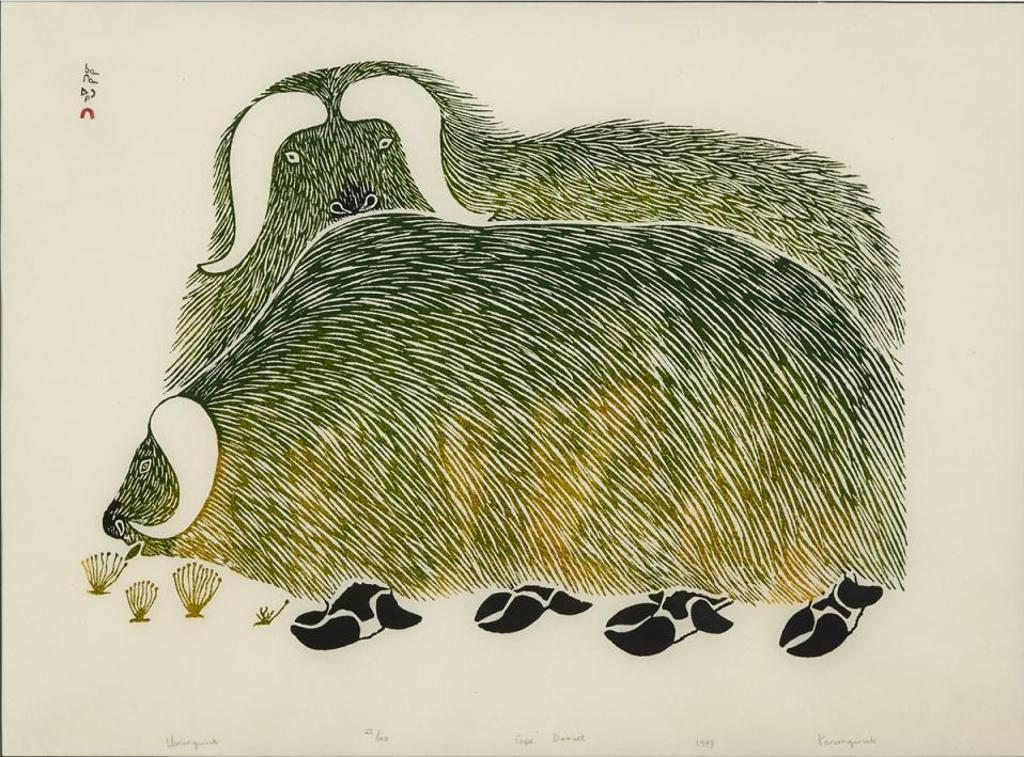 Kananginak Pootoogook (1935-2010) - Umingmuk