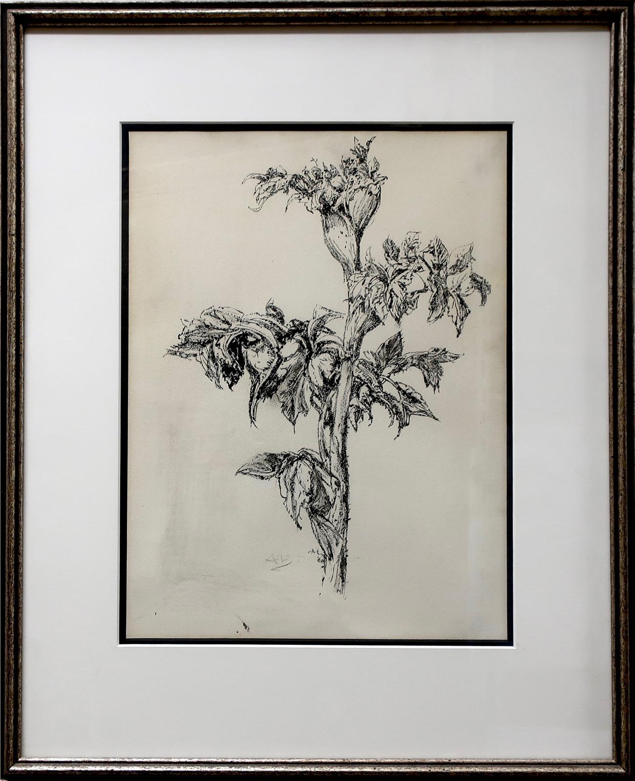 Arthur Lismer (1885-1969) - Branch Of Flowers