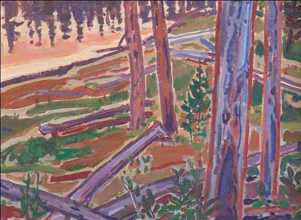 William (Bill) Duma (1936) - Tree Reflections (02818/2013-3071)