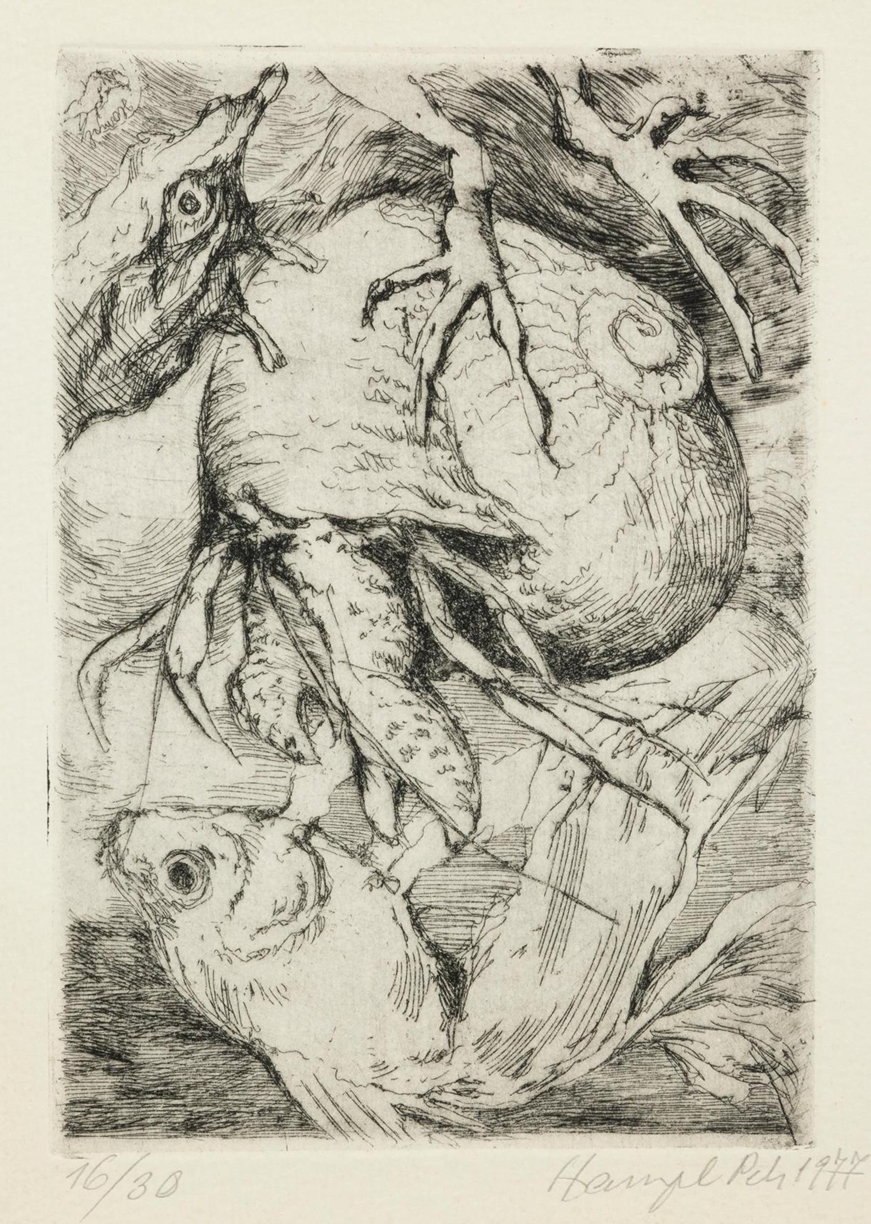 Petr Hampl (1969) - Hermit Crab