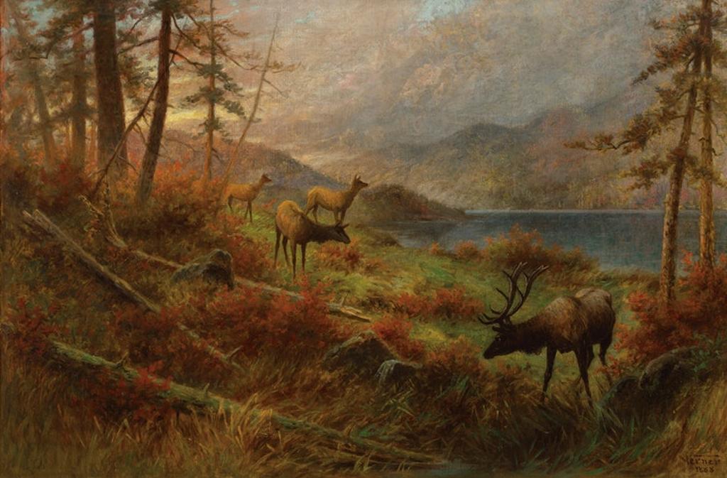 Frederick Arthur Verner (1836-1928) - Elk Browsing