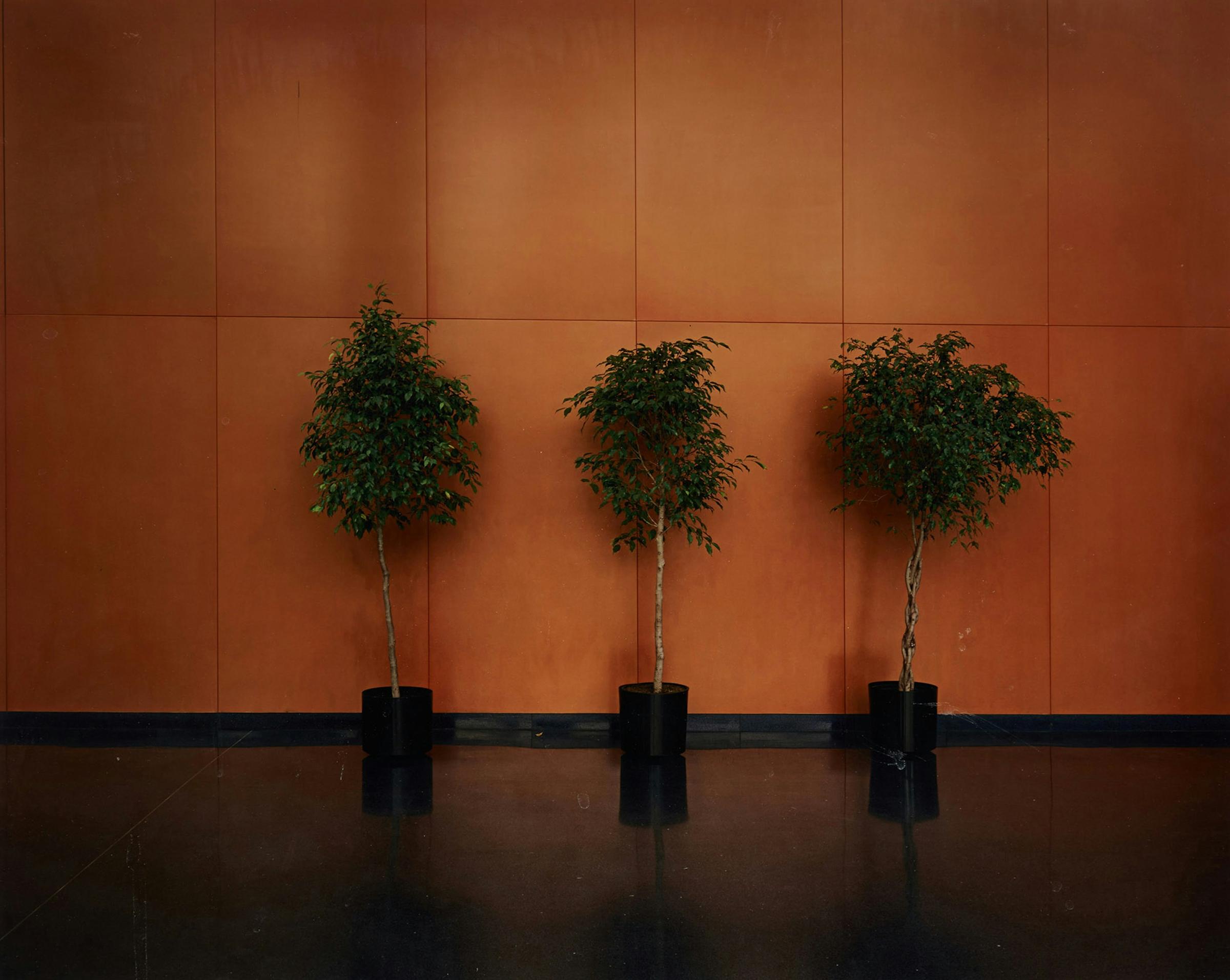 Lynne Cohen (1944-2014) - Untitled, 2007