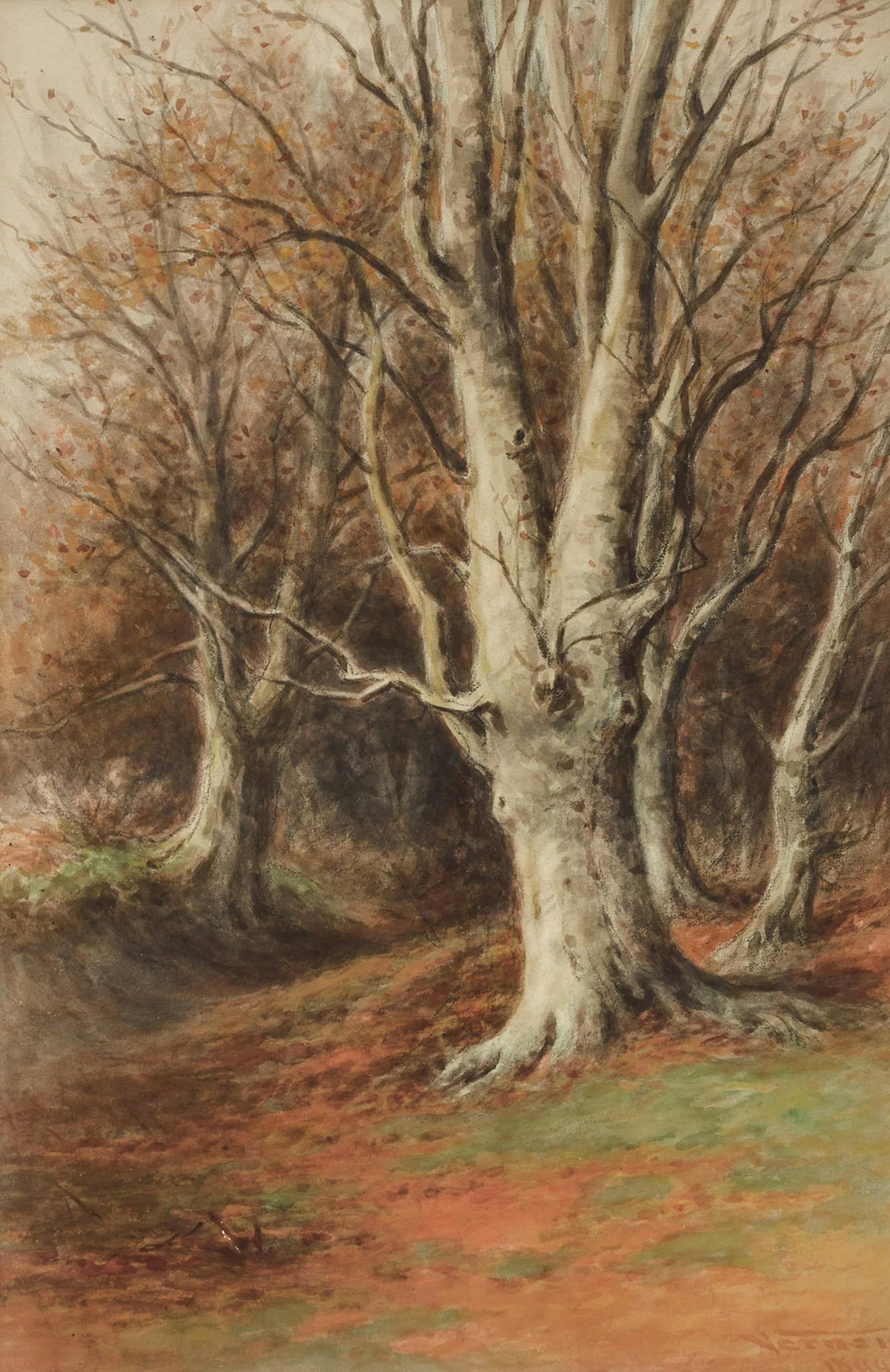 Frederick Arthur Verner (1836-1928) - Forested Landscape