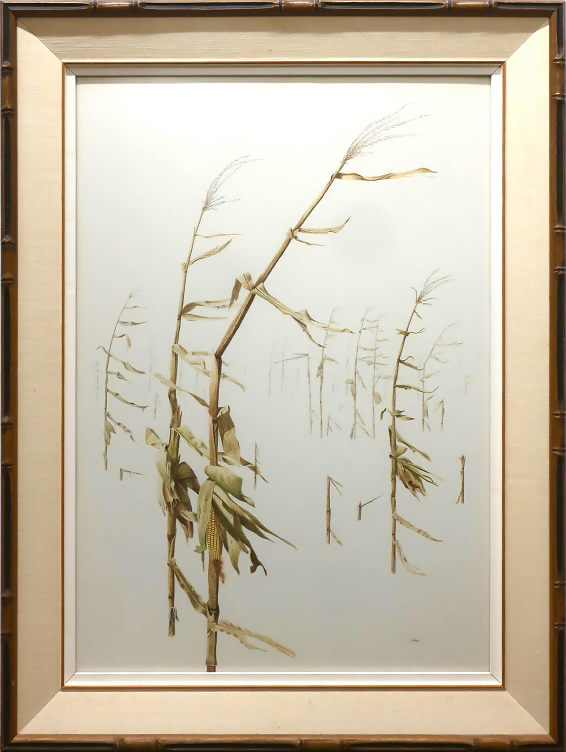 Conrad Mieschke (1938) - Winter Corn
