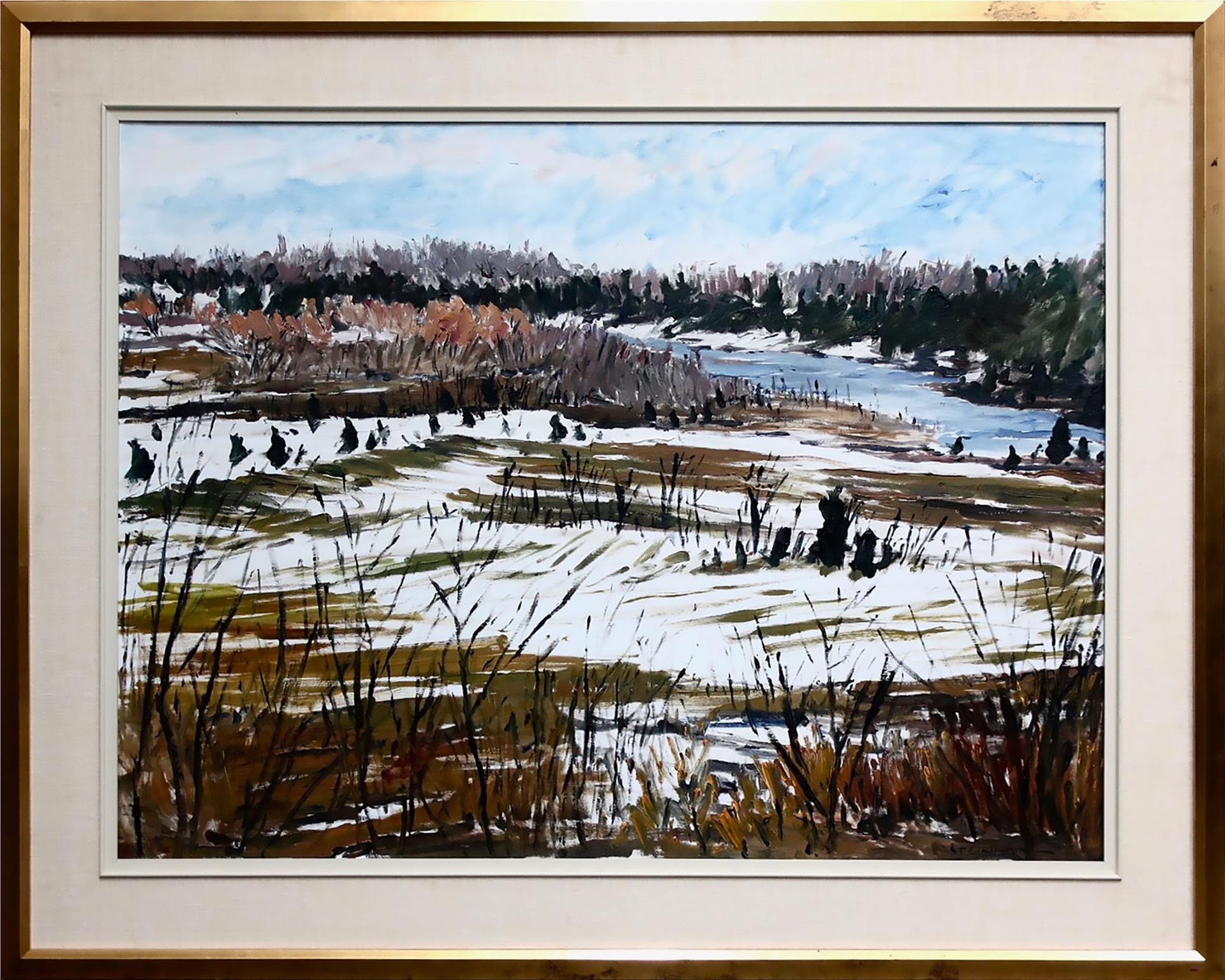 Bruce Steinhoff (1959) - Saugeen River, December, Southampton