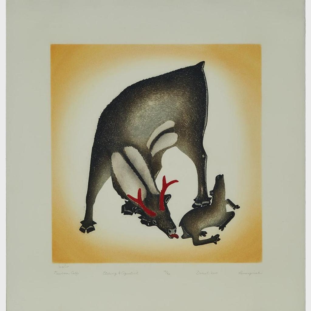 Kananginak Pootoogook (1935-2010) - Newborn Calf
