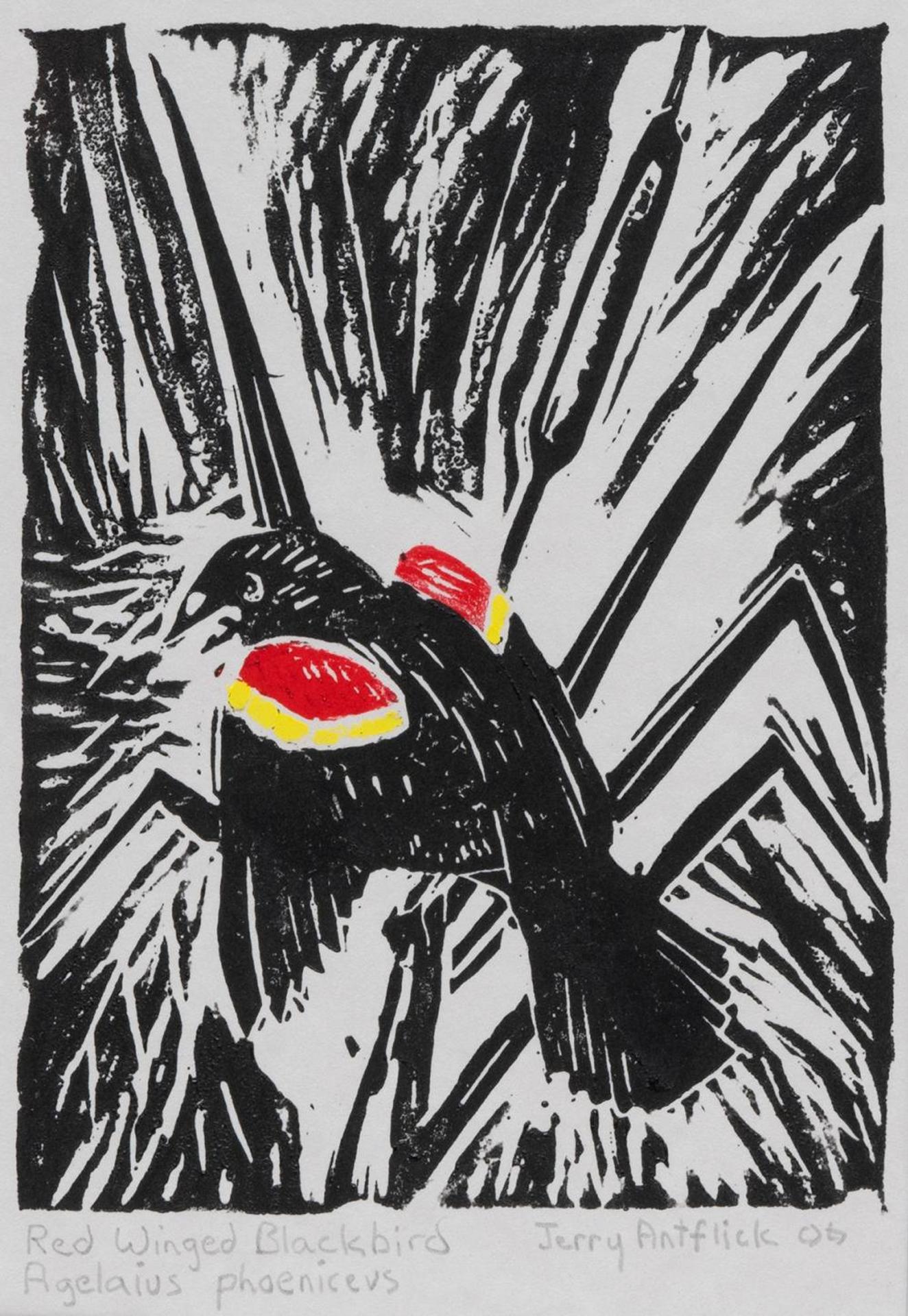 Jerry Antflick - Red Winged Blackbird