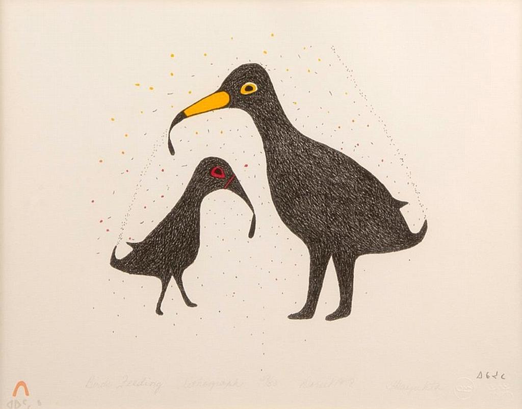 Ikayukta Tunnillie (1911-1980) - Birds Feeding