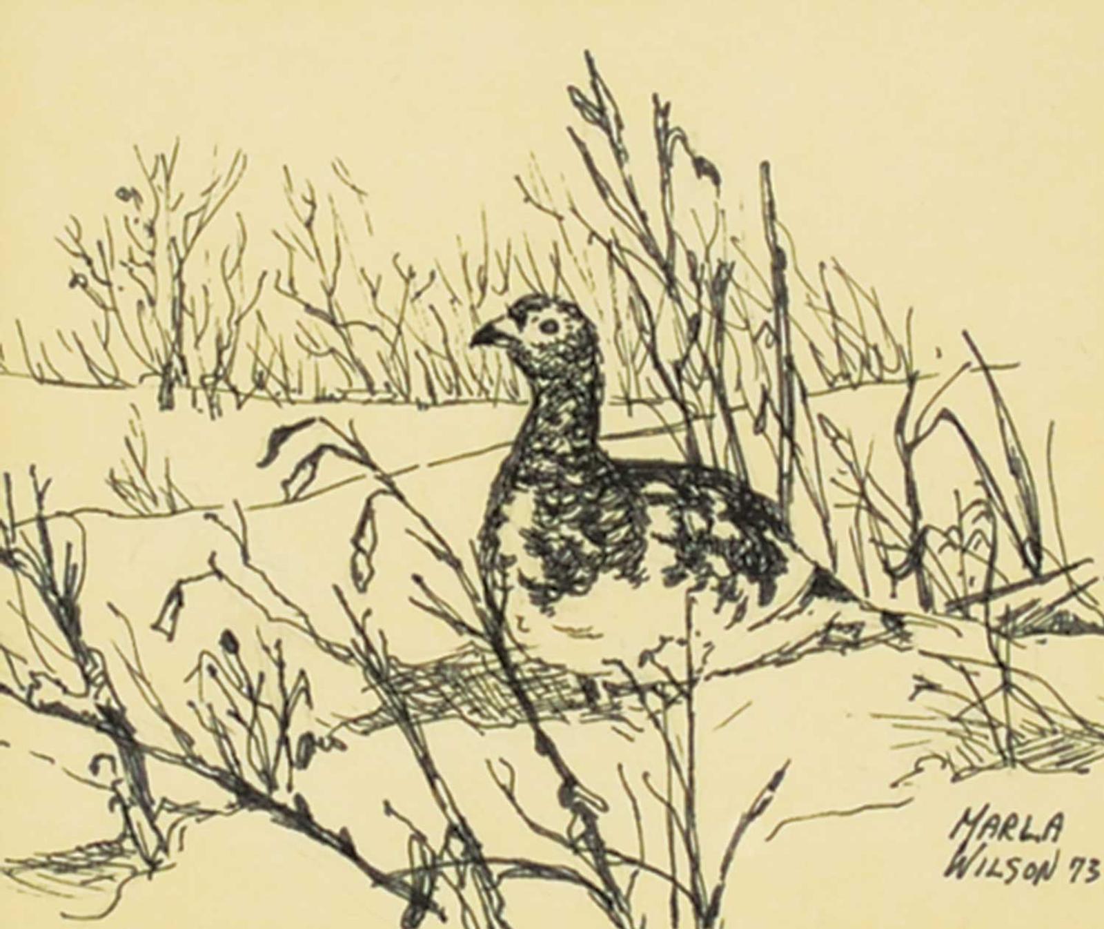 Marla Wilson (1945) - Summer Ptarmigan