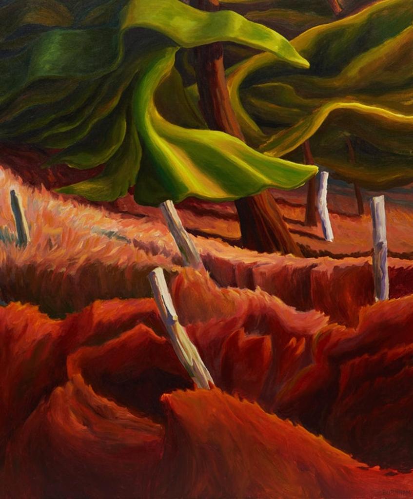 Drew Burnham (1947) - Fence Line Pines