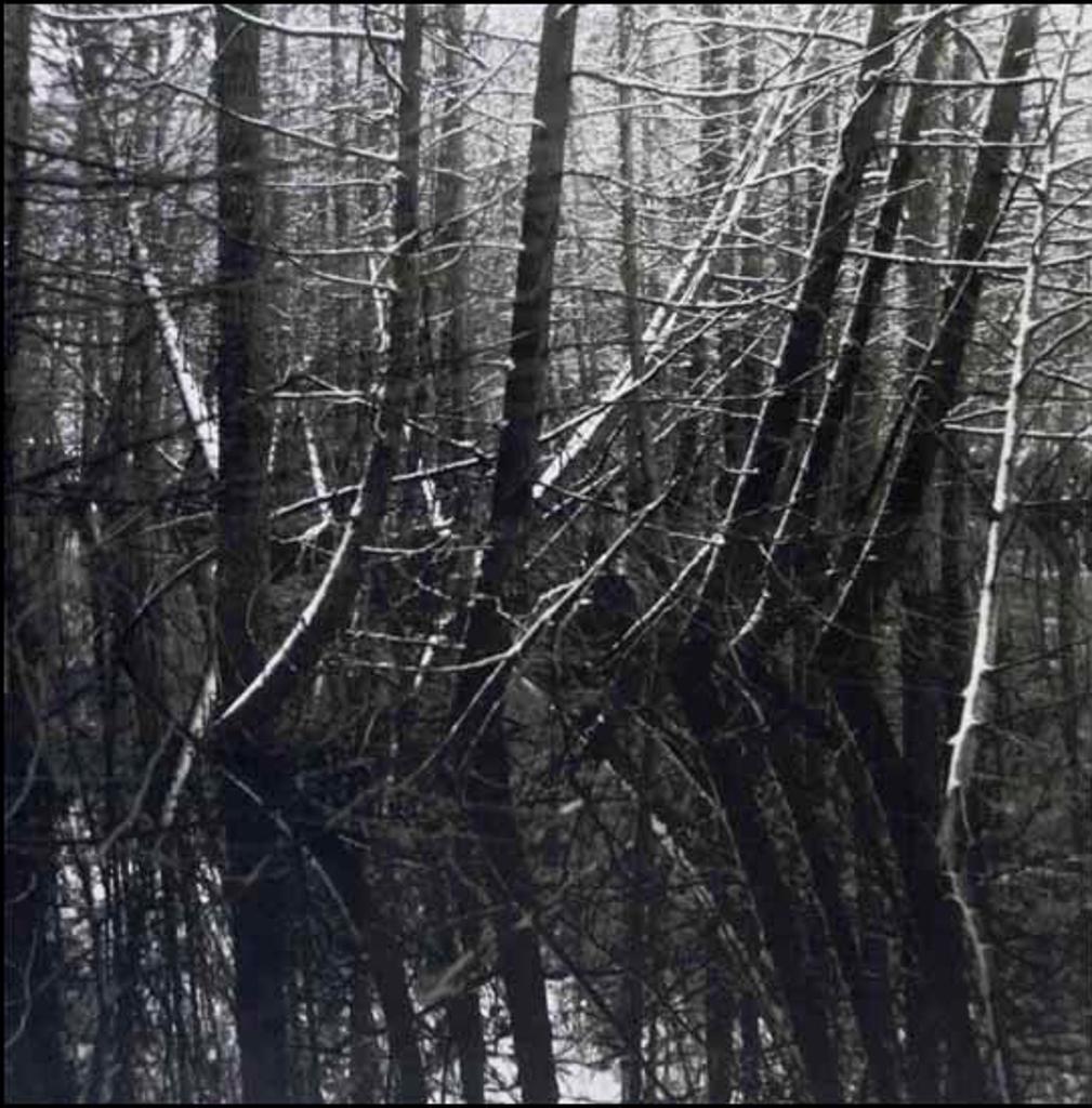 Judy Gouin (1947) - Beaver Swamp, Spring Snow I (02728/2013-1283)