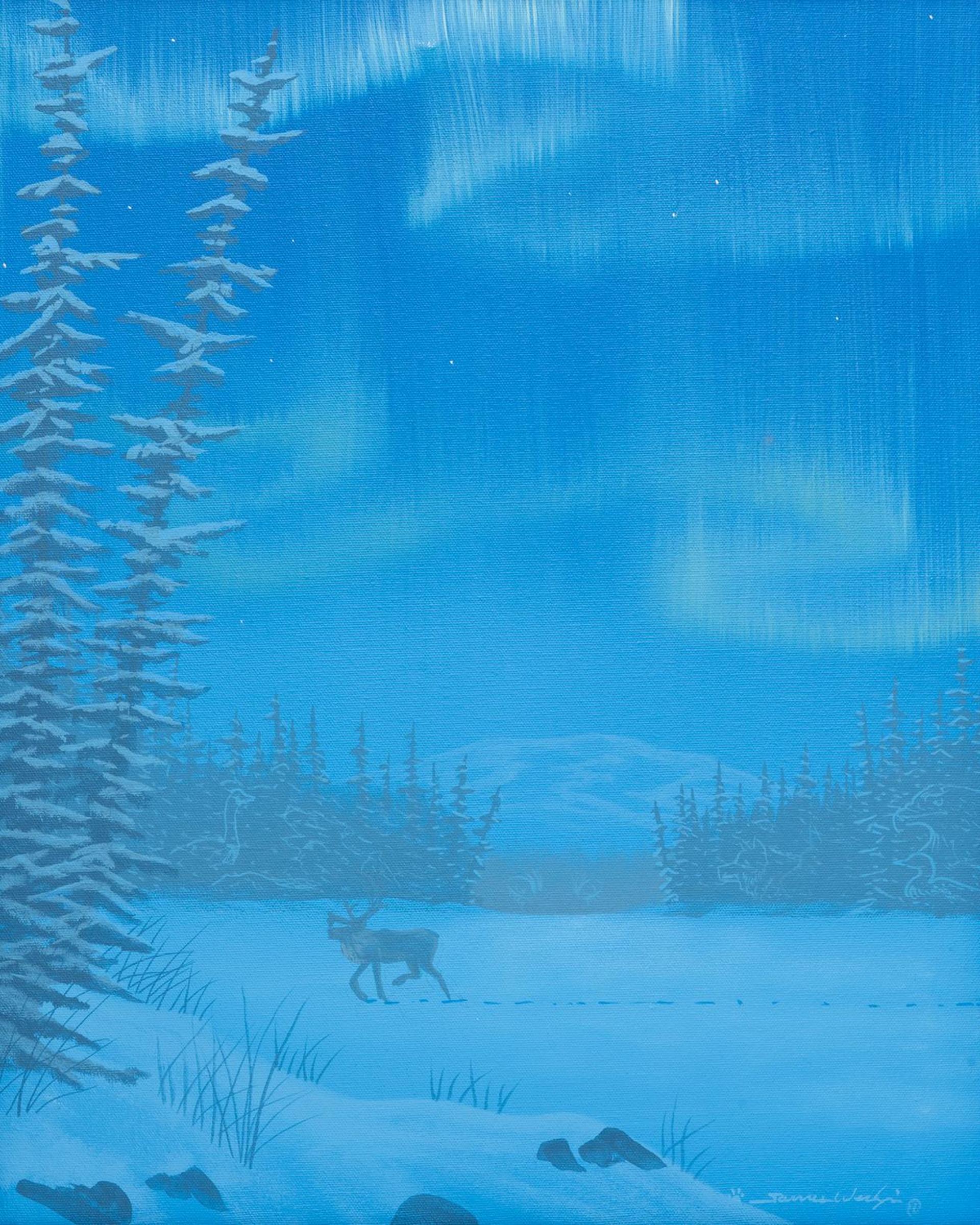 James Wedzin - Elk Under Northern Lights