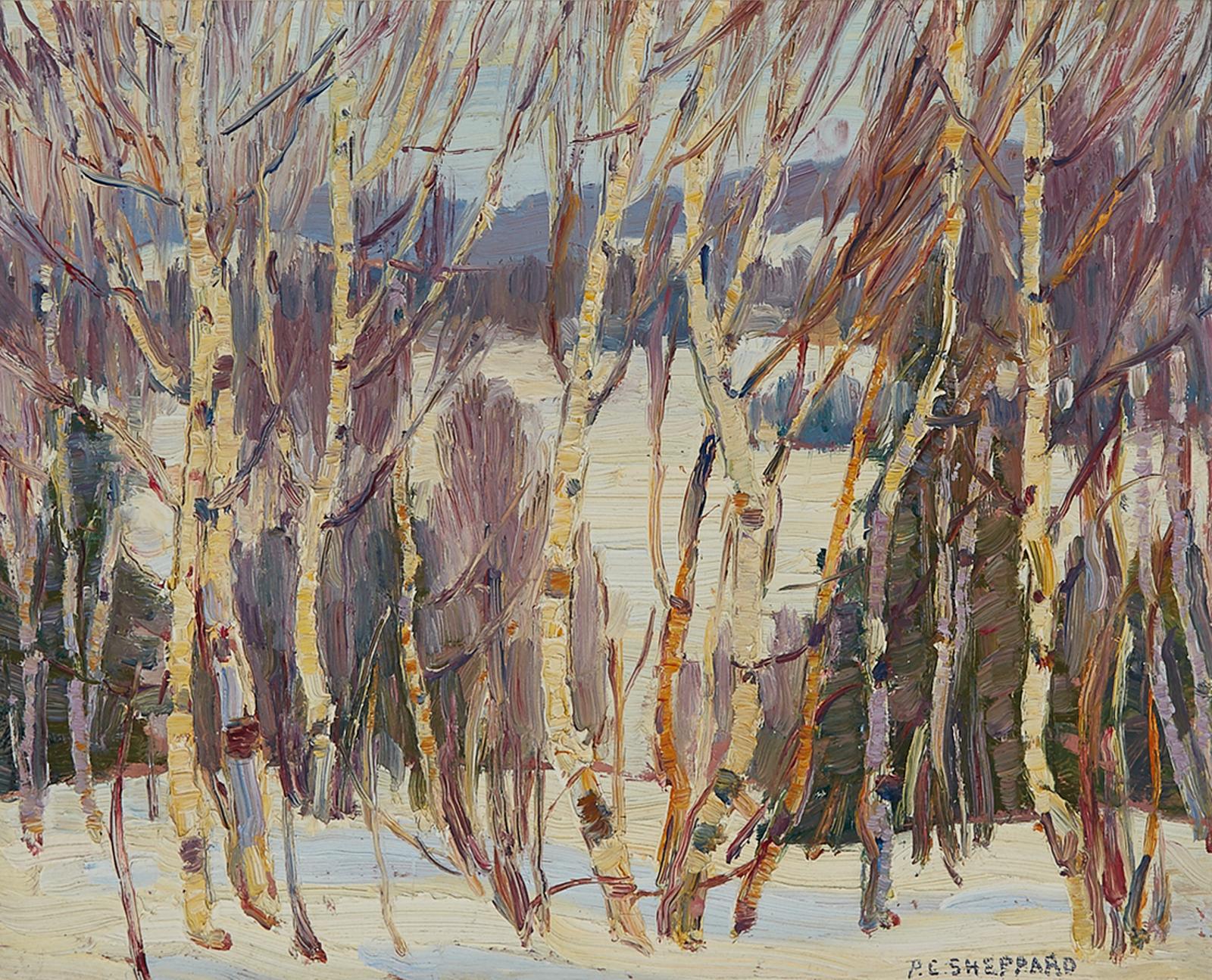 Peter Clapham (P.C.) Sheppard (1882-1965) - Winter, Paudash Lake