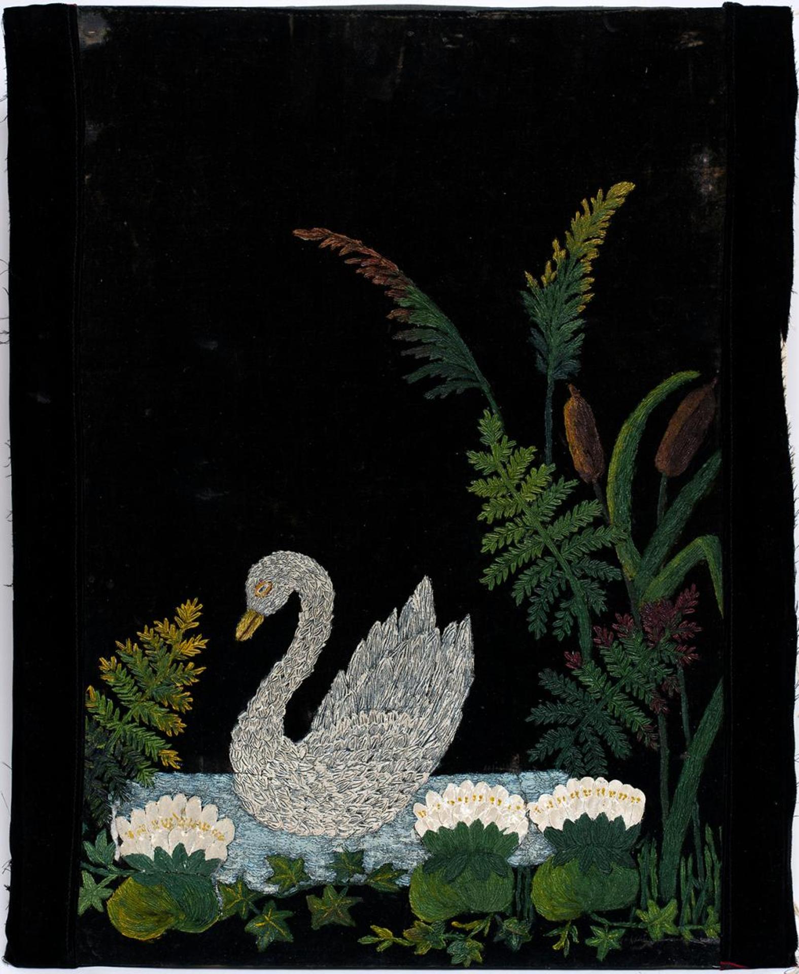 Anonymous - Untitled - Swan