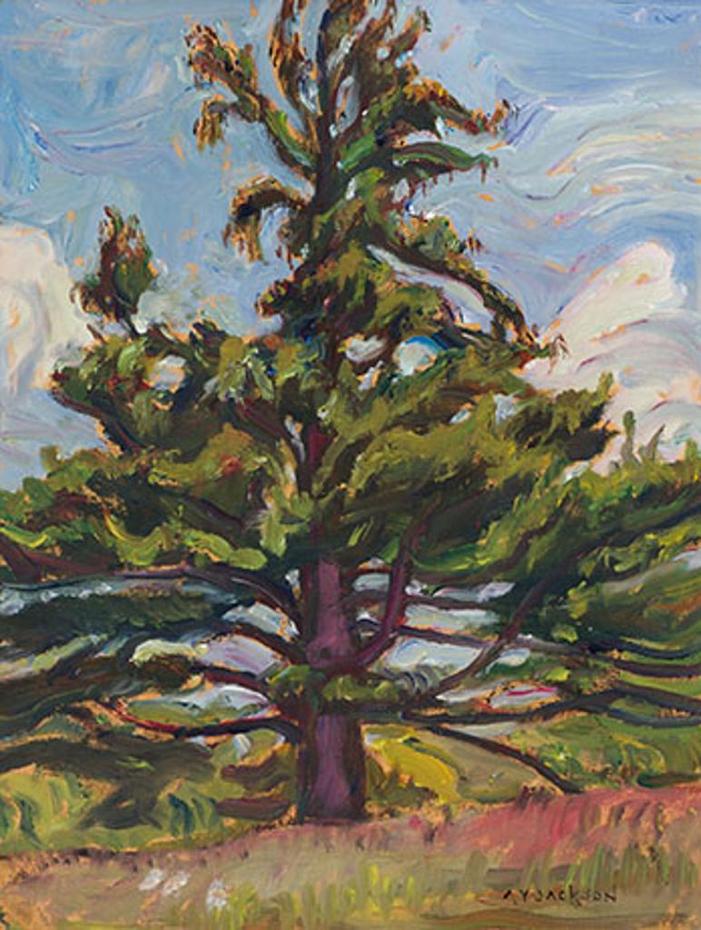 Alexander Young (A. Y.) Jackson (1882-1974) - Old White Pine, Madoc, Ontario