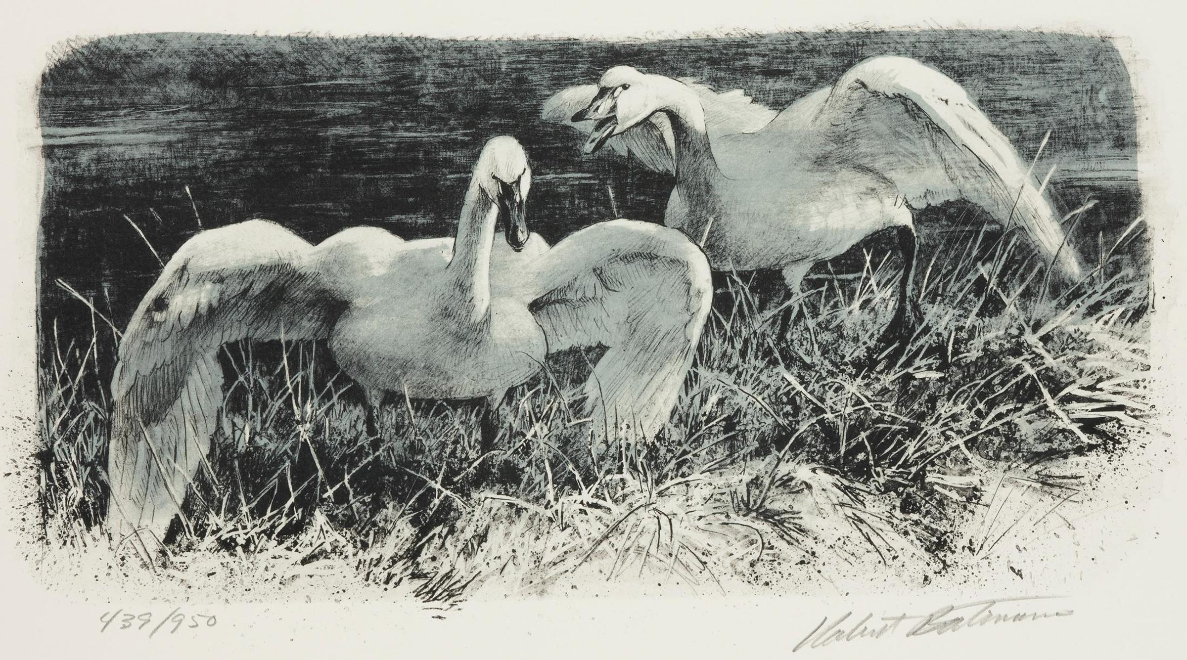 Robert Mclellan Bateman (1930-1922) - Tundra Swans