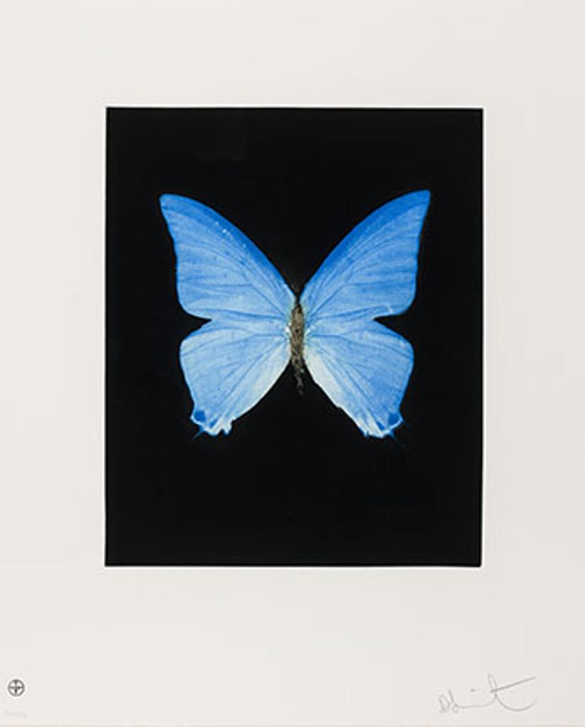 Damien Hirst (1965) - Providence (from the Butterfly Portfolio)