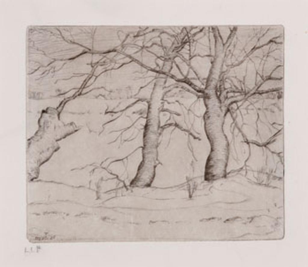 Lionel Lemoine FitzGerald (1890-1956) - Trees in Winter, State VII